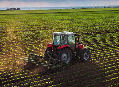Agriculture