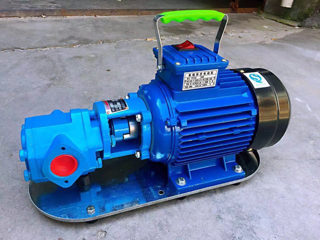 Small Portable 220v Electric Gear Pump Stainless Steel Oil Pump