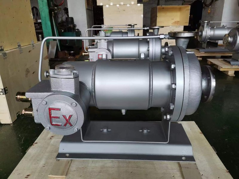 Stainless Steel Chemical Liquid Transport Sealed Motor Pump Canned Pump